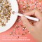 50g Mix Flatback Rhinestones Half Pearls for Craft Mixed Size 3mm-10mm Flat Back Rhinestones for Crafts Flatback Pearls for DIY Tumblers Mugs Nail Art Shoes Clothes (Champagne Gold Series)